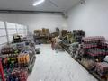 Магазины и бутики, медцентры и аптеки · 674 м² за 170 млн ₸ в Кентау — фото 7