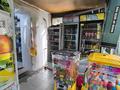 Магазин · 35 м², бағасы: 38 млн ₸ в Алматы, Жетысуский р-н — фото 4