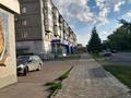 1-комнатная квартира, 30 м², 5/5 этаж, Жамбыла 137 — Магазин игрушки, городской парк за 14.5 млн 〒 в Петропавловске — фото 9
