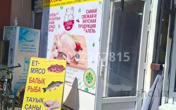Продуктовый магазин · 25 м² за 1 млн 〒 в Жанатурмысе — фото 2