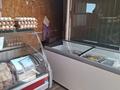 Продуктовый магазин · 25 м² за 1 млн 〒 в Жанатурмысе — фото 6