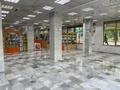 Свободное назначение, офисы, магазины и бутики · 140 м² за 3.5 млн 〒 в Алматы, Медеуский р-н — фото 3