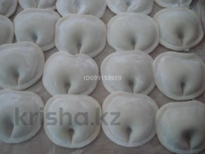 Производство замороженных полуфабрикатов сбыт на две области · 973 м² за 300 млн 〒 в Астане, Алматы р-н