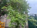 Отдельный дом · 8 комнат · 400 м² · 11 сот., Чехова 70 за 140 млн ₸ в Астане, Сарыарка р-н — фото 4