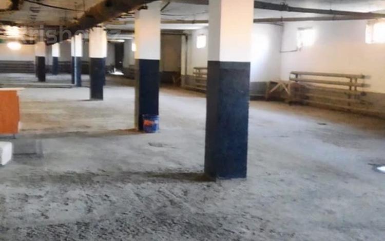 Промбаза · 27 соток, Центральная улица 1 за 1 млн ₸ в Алге — фото 2