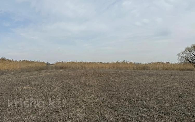 Жер телімі · 2 га, Саина, бағасы: 600 млн ₸ в Алматы, Алатауский р-н — фото 2