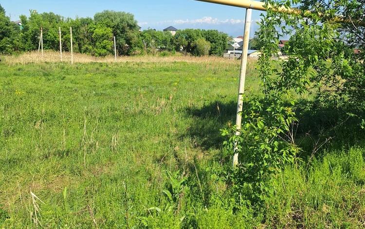 Участок · 5 га, Ташкентский за 50 млн ₸ в  — фото 2