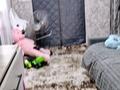 Саяжай · 2 бөлме · 30 м² · 6 жүзд., Восточник 6 10, бағасы: 5 млн ₸ в Усть-Каменогорске, Ульбинский — фото 6