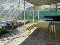 Отдельный дом · 5 комнат · 170 м² · 8 сот., мкр Самал-2 81 — улица Анар-Аже по пересечению Казиева за 65 млн ₸ в Шымкенте, Абайский р-н — фото 16