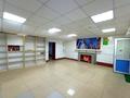 Еркін · 57 м², бағасы: 19 млн ₸ в Астане, Сарыарка р-н — фото 2