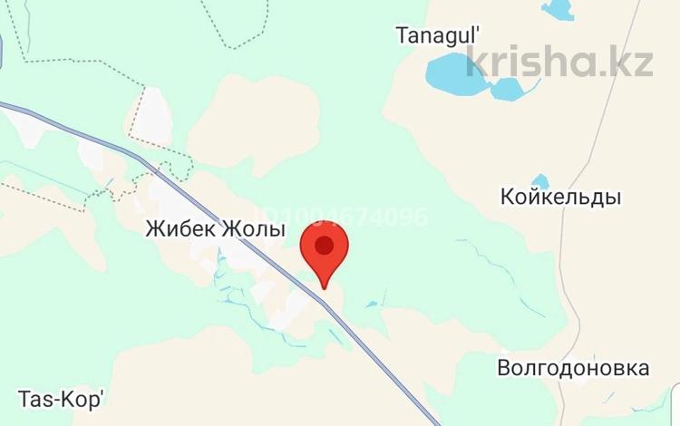 Жер телімі · 10 сотық, Жибек жолы, бағасы: 4 млн ₸ — фото 2