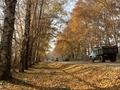 Участок · 5 соток, Абирова 30 за 5.5 млн ₸ в  — фото 2