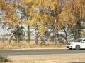 Участок · 5 соток, Абирова 30 за 5.5 млн ₸ в  — фото 3