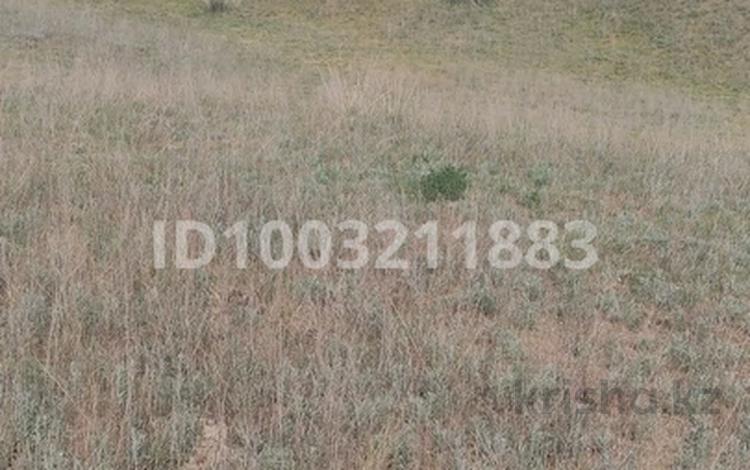 Участок · 10 га, Алматинская обл. за 4 млн ₸ — фото 2