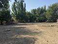 Участок · 25 соток, Усенбаева 1 за 15 млн ₸ в Кентау — фото 3