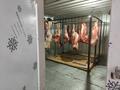 Жүріп тұрған ет дүкені, бизнесі сатылады, барлық құрал жабдықтары мен. · 100 м² за 2.5 млн ₸ в Талдыкоргане