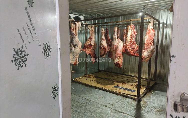 Жүріп тұрған ет дүкені, бизнесі сатылады, барлық құрал жабдықтары мен. · 100 м² за 2.5 млн ₸ в Талдыкоргане — фото 14