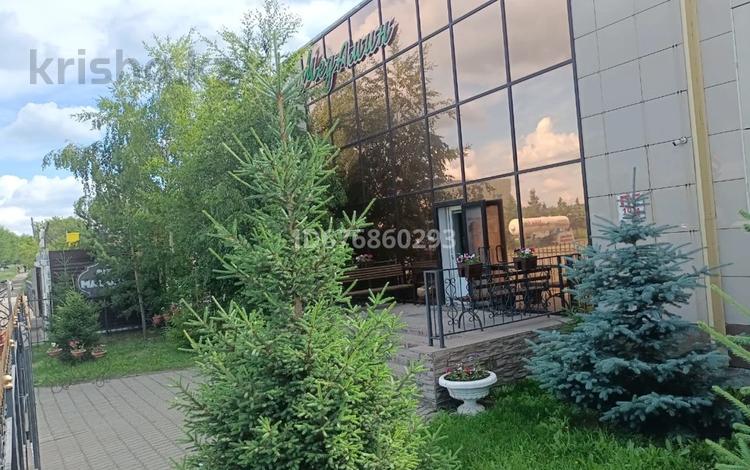 Свободное назначение • 1200 м² за 160 млн 〒 в Щучинске — фото 2