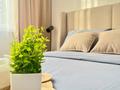 1-бөлмелі пәтер · 45 м² · 7/14 қабат, Туркестан 14 — Орынбор, бағасы: 25 000 ₸ в Астане, Есильский р-н — фото 15