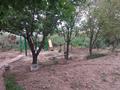 Жеке үй · 10 бөлме · 320 м² · 12 жүзд., Аққайын 18, бағасы: 35 млн ₸ в  — фото 7