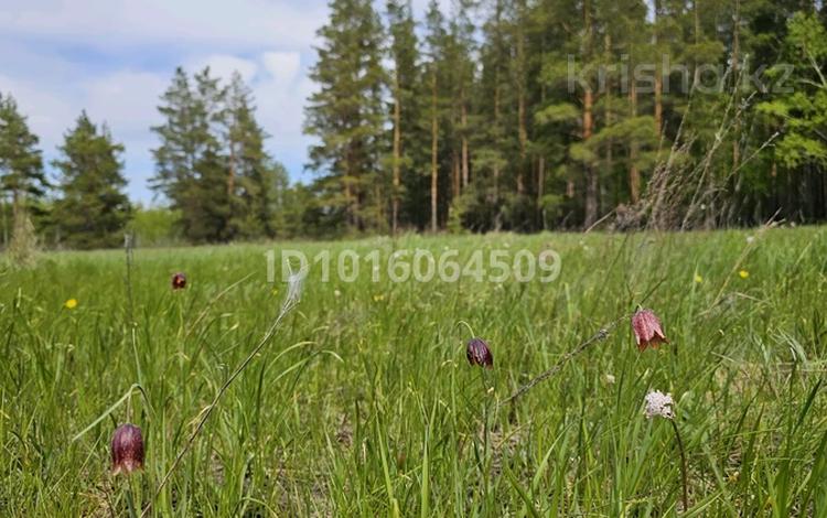 Участок · 10 соток, Алтынсарино (Костанайский район) за 7 млн ₸ — фото 2