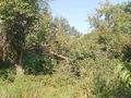 Жеке үй · 7 бөлме · 140 м² · 15 жүзд., 3-й пер. Абылай Хана 10, бағасы: 21 млн ₸ в Таразе — фото 28