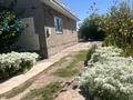 Отдельный дом · 3 комнаты · 180 м² · 7 сот., Наурыз 215 за 58 млн ₸ в Коянкусе — фото 34