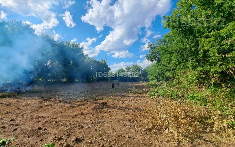 Участок · 20 соток, Бейбитшилик 52 за 25 млн 〒 в Жибек Жолы — фото 14