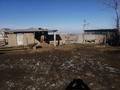Ауыл шаруашылығы · 100000 м², бағасы: 35 млн ₸ в Кулане — фото 4
