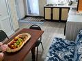 Дача · 4 комнаты · 120 м², Село Шубарсу 328 — ул. Жетыказына за 35 000 〒 в Шымкенте, Абайский р-н — фото 7