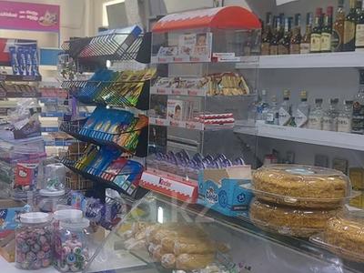 Еркін · 50 м², бағасы: 400 000 ₸ в Астане, Алматы р-н