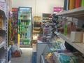 Еркін · 50 м², бағасы: 400 000 ₸ в Астане, Алматы р-н — фото 2