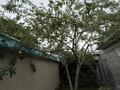 Отдельный дом · 9 комнат · 150 м² · 6 сот., мкр Аулие-Ата 12 — Сенкебая 12 за 50 млн ₸ в Таразе — фото 35