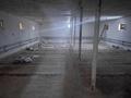 Еркін, қоймалар, ауыл шаруашылығы · 110000 м², бағасы: 150 млн ₸ в Узынагаш — фото 2
