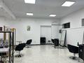Свободное назначение, офисы, магазины и бутики, салоны красоты, образование, конференц-залы, кабинеты и рабочие места, студии · 260 м² за ~ 1 млн ₸ в Шымкенте, Аль-Фарабийский р-н — фото 13