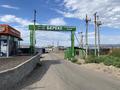 Еркін · 230 м², бағасы: 45 млн ₸ в Каскелене — фото 2