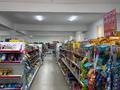 Продуктовый магазин + собственная коммерческая недвижимость 1200 м² · 1200 м² за 290 млн ₸ в  — фото 4