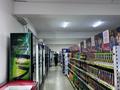 Продуктовый магазин + собственная коммерческая недвижимость 1200 м² · 1200 м² за 290 млн ₸ в  — фото 7