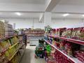 Продуктовый магазин + собственная коммерческая недвижимость 1200 м² · 1200 м² за 290 млн ₸ в  — фото 8