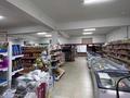 Продуктовый магазин + собственная коммерческая недвижимость 1200 м² · 1200 м² за 290 млн ₸ в  — фото 9