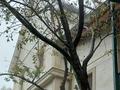 Жеке үй · 5 бөлме · 132 м² · 8 жүзд., Тастыбұлақ ш/а. 35, бағасы: 77 млн ₸ в Алматы, Наурызбайский р-н — фото 6
