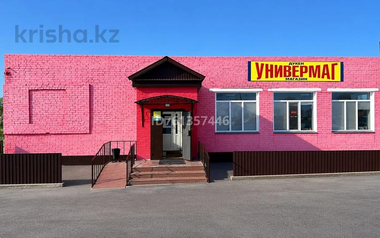 Магазины и бутики · 400 м² за 100 млн ₸ в Павлодарской обл., Актогай — фото 18