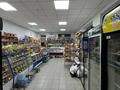 Магазины и бутики · 400 м² за 100 млн ₸ в Павлодарской обл., Актогай — фото 3