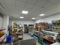 Магазины и бутики · 400 м² за 100 млн ₸ в Павлодарской обл., Актогай — фото 4