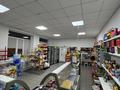 Магазины и бутики · 400 м² за 100 млн ₸ в Павлодарской обл., Актогай — фото 5