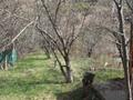 Отдельный дом · 4 комнаты · 120 м² · 120 сот., Восточная 493 — Садоводческое общество алма за 70 млн ₸ в Алматы, Наурызбайский р-н — фото 21