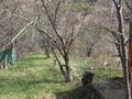 Отдельный дом · 4 комнаты · 120 м² · 120 сот., Восточная 493 — Садоводческое общество алма за 70 млн ₸ в Алматы, Наурызбайский р-н — фото 4