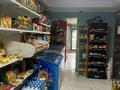 Магазины и бутики · 50 м² за 55 млн ₸ в Алматы, Медеуский р-н — фото 13