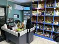 Магазины и бутики · 50 м² за 55 млн ₸ в Алматы, Медеуский р-н — фото 2