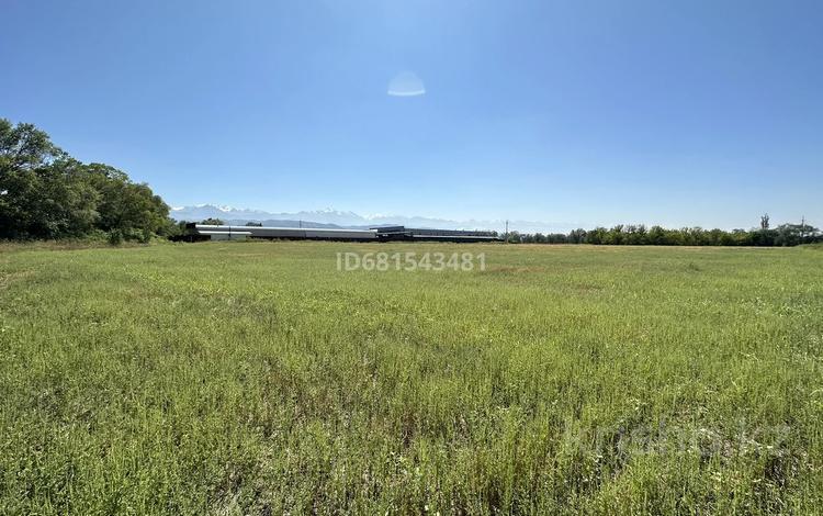 Жер телімі · 92 сотық, Бельбулак (Мичурино), бағасы: 100 млн ₸ — фото 6